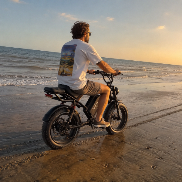 1500W Electric Bike